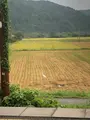 余呉駅の写真_818271