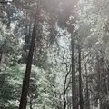 天拝山歴史自然公園の写真_820039