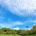 春日公園の写真_820126