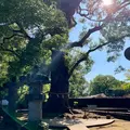 上野東照宮の写真_830857