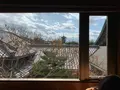 羽柴の写真_831545