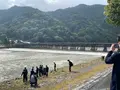 渡月橋の写真_831874