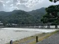 渡月橋の写真_831876