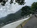 渡月橋の写真_831877