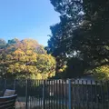 杜のテラスの写真_834624