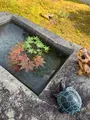 正覚院の写真_836019