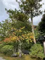 正覚院の写真_836021