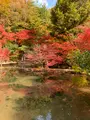 曽木公園の写真_838372