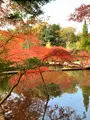 曽木公園の写真_838374