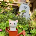 今戸神社の写真_840453