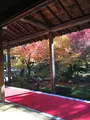 圓光寺の写真_843983