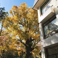 日比谷 松本楼の写真_844105