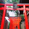 堀越神社(大阪)の写真_846685