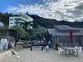 かねよ食堂の写真_848534