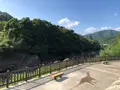 丹波竜の里公園の写真_853784
