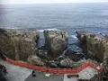鵜戸神宮の写真_866381