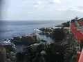 鵜戸神宮の写真_866383