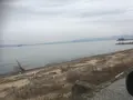 琵琶湖の写真_866390