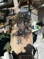 満福寺の写真_866839