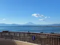 新江ノ島水族館の写真_866846