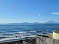 新江ノ島水族館の写真_866847