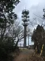 多度山の写真_867139