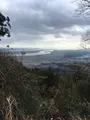 多度山の写真_867140
