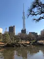 隅田公園の写真_868764