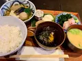 鯛樹の写真_869999