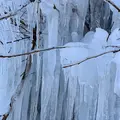 氷瀑・湧水公園の写真_871085