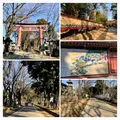 武蔵一宮 氷川神社の写真_875009