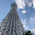 東京スカイツリーの写真_878257