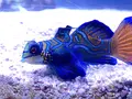 すみだ水族館の写真_878262