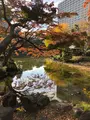 日比谷公園の写真_878273