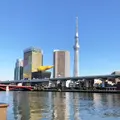 カフェ・ムルソーの写真_878291