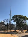 隅田公園の写真_878302
