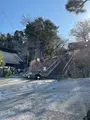 東慶寺の写真_880719