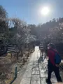 東慶寺の写真_880720
