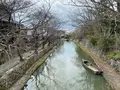 八幡堀の写真_883950