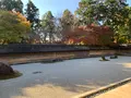 龍安寺の写真_887276