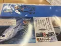 市場食堂の写真_889362