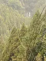 にこ淵の写真_889862