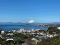 披露山公園の写真_890698