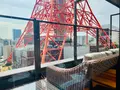 ワカヌイ グリル ダイニング バー東京の写真_898855
