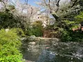 愛宕神社の写真_898863
