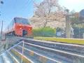 陶山神社の写真_899816