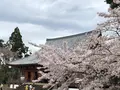 醍醐寺の写真_901147