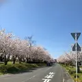 大貞公園の写真_901220