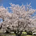 大貞公園の写真_901226