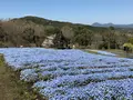 大分農業文化公園の写真_901233